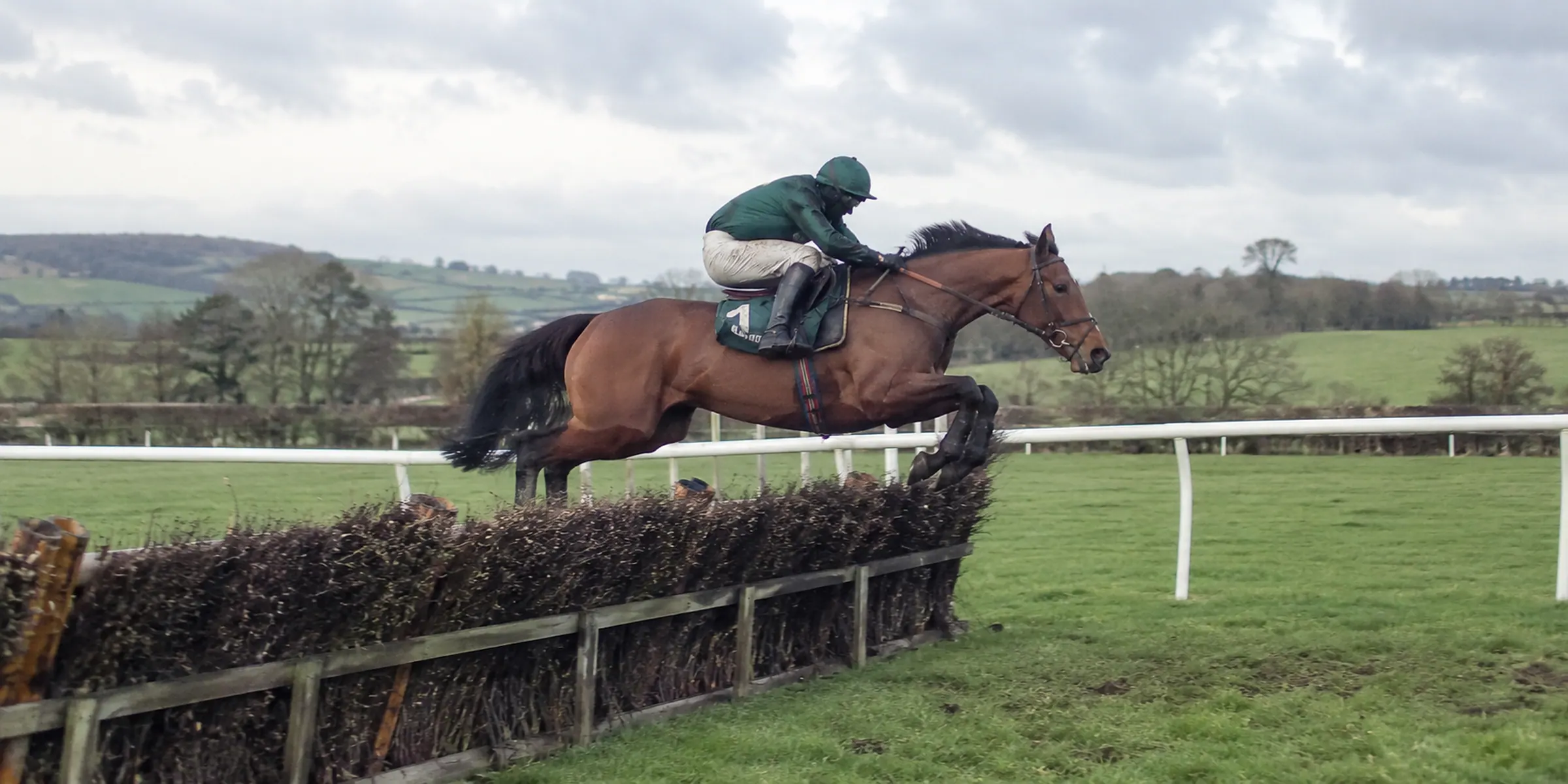 A bay horse and a jockey in green clearing a brush fence