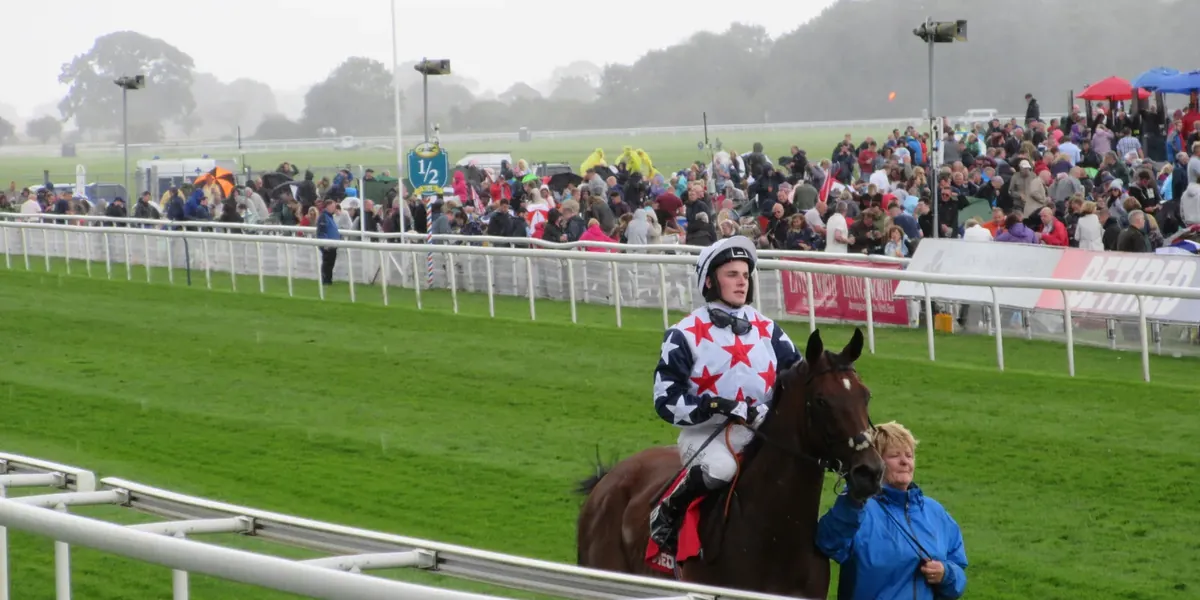 A jockey and his horse on the course on a wet day