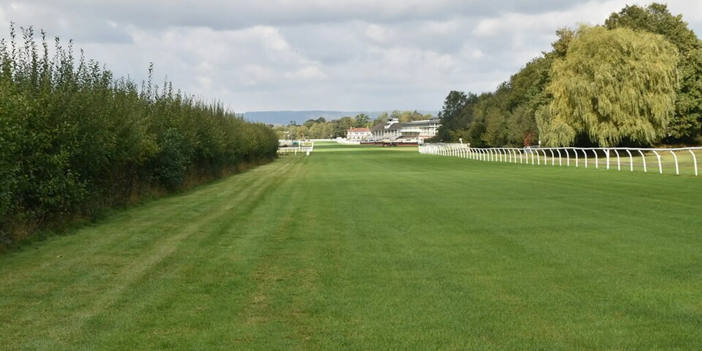 The course at Lingfield between a hedge and white running rails