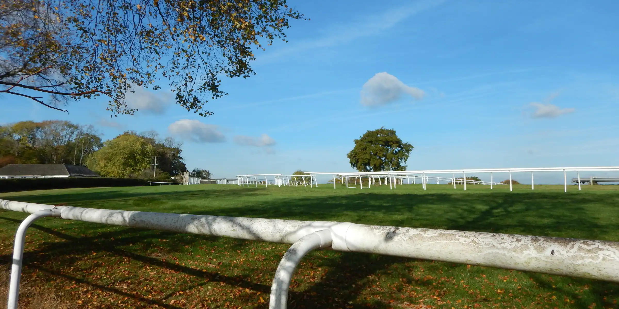 White running rails and open turf at Plumpton in sunshine
