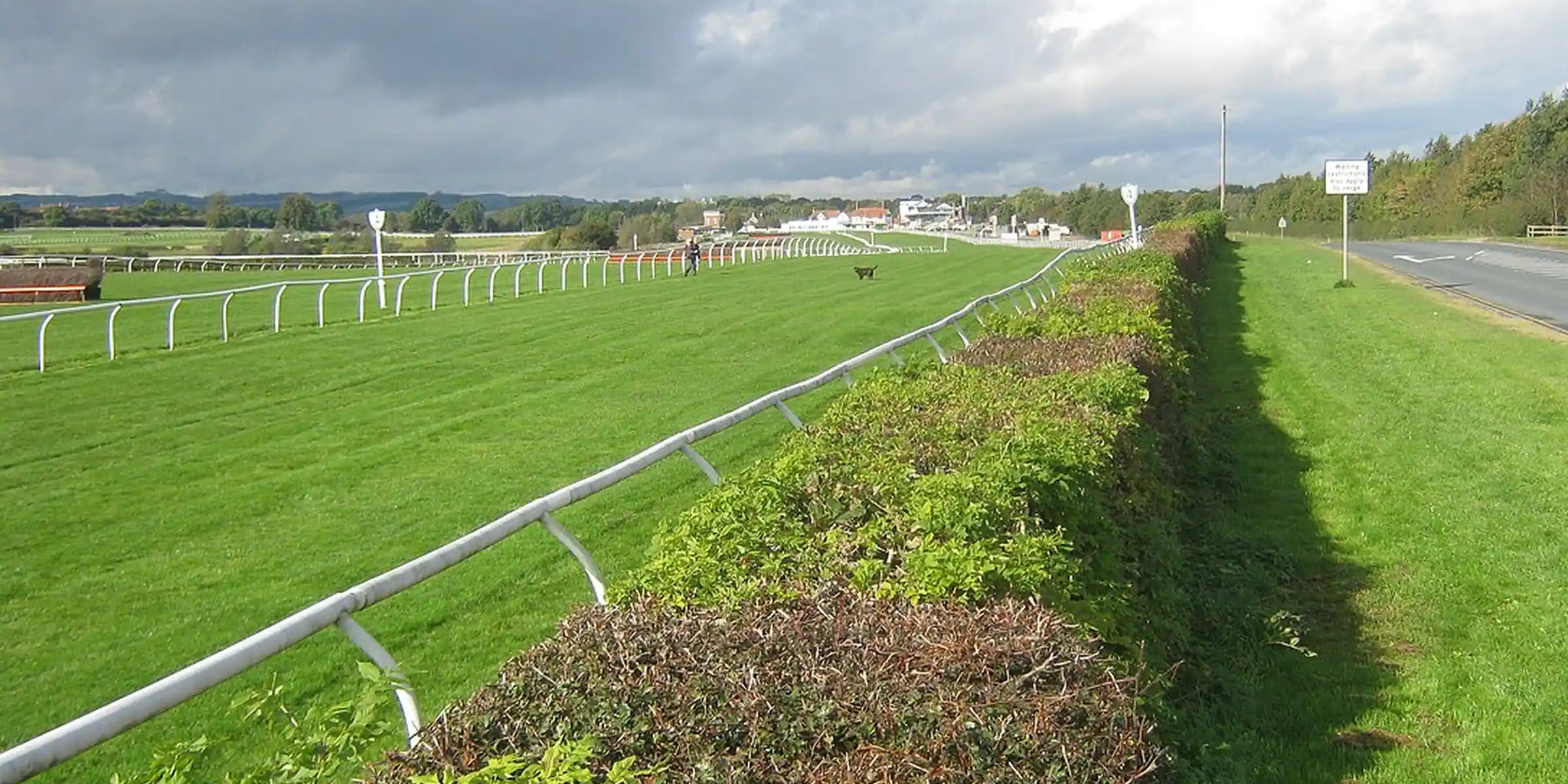 The Catterick running rails, green course and low hills seen over a hedge