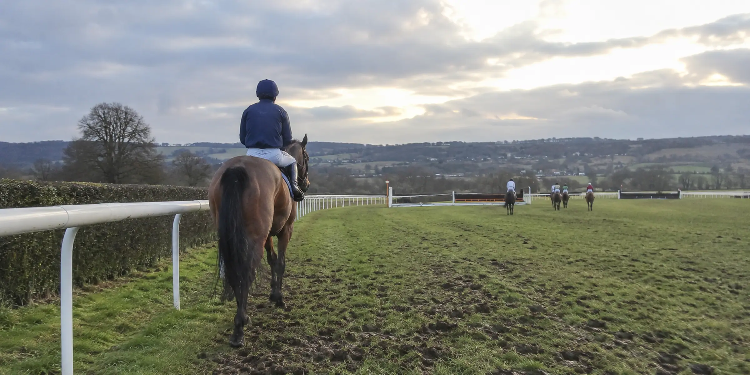 A horse and upright rider beside the rail as other horses move away
