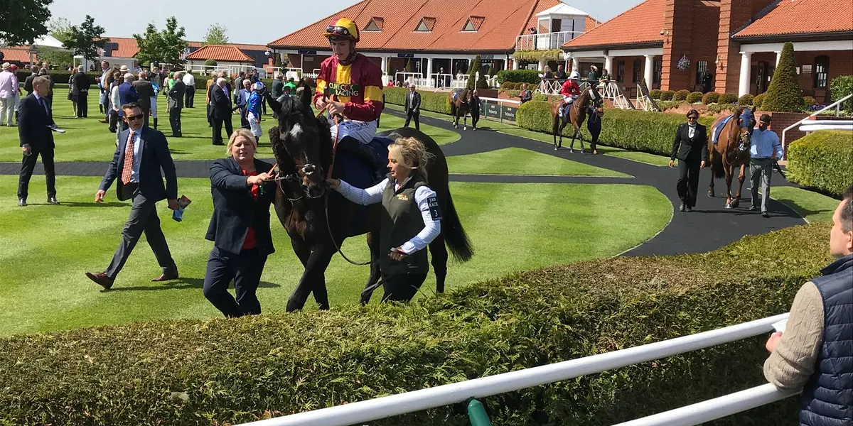 Runners in the parade ring before a race