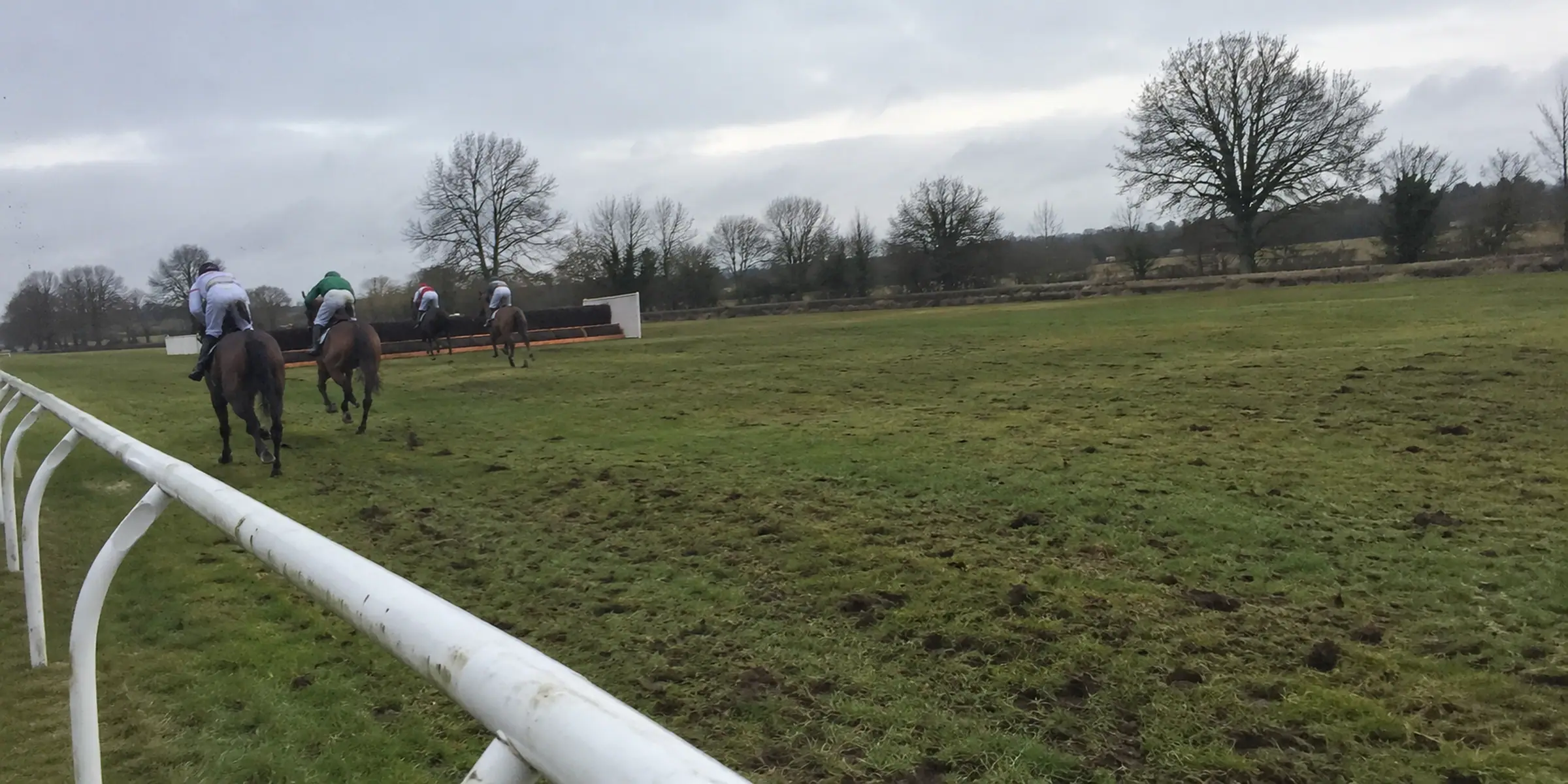 A small field of jumps horses on muddy winter turf beyond a running rail