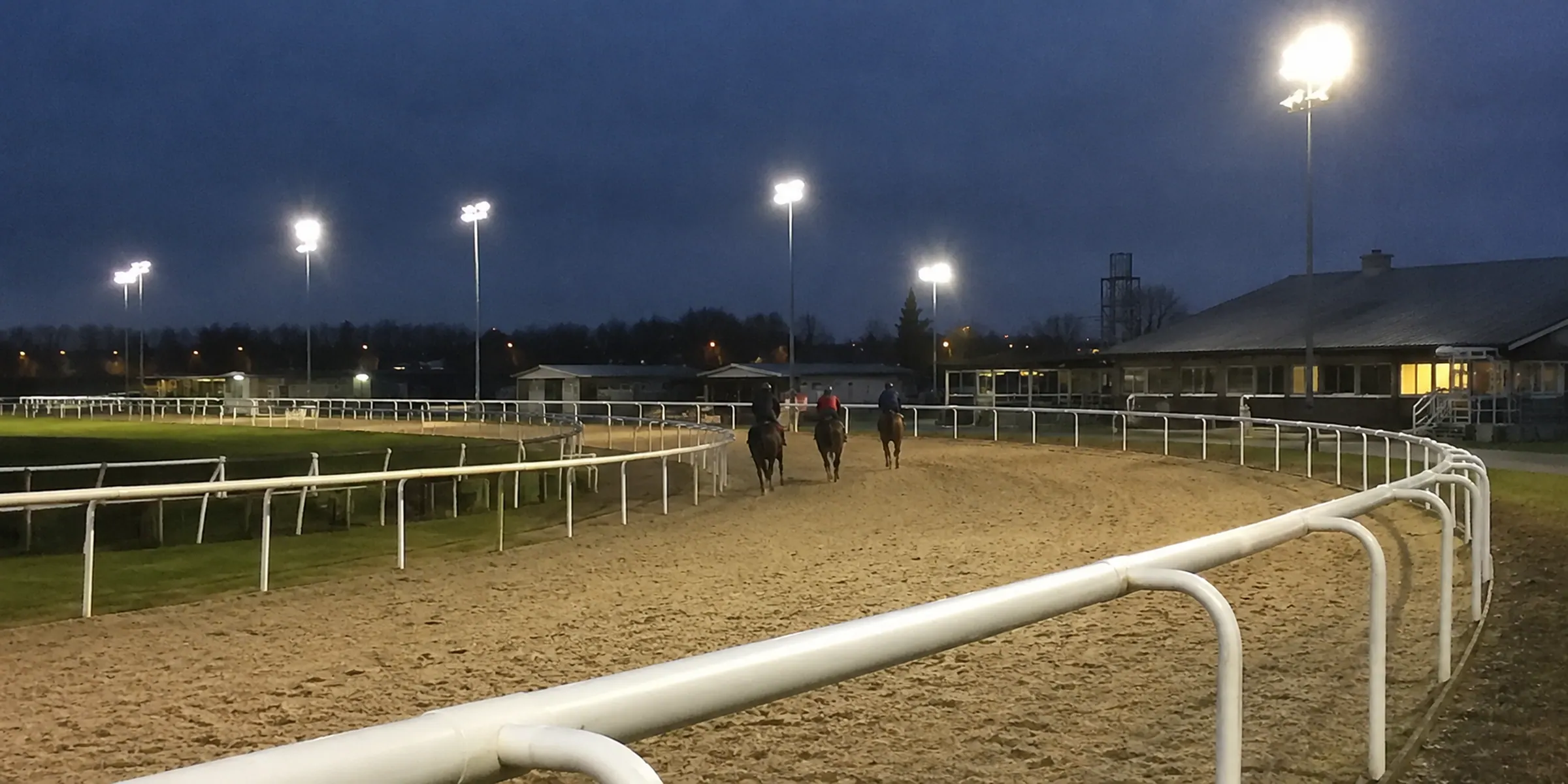 Horses on a sand-coloured track beneath floodlights at dusk