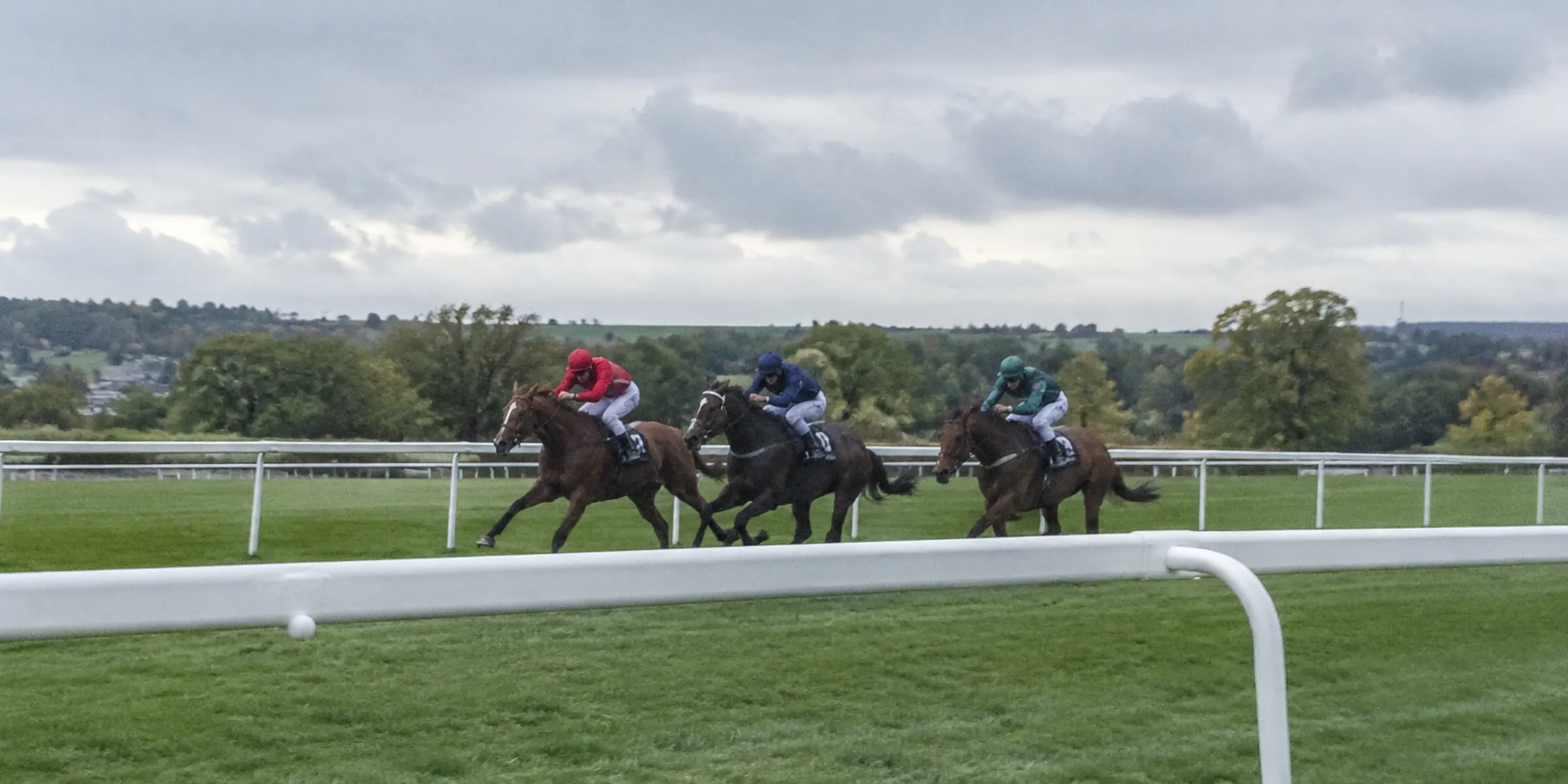 Three horses racing close together on turf beyond a white running rail