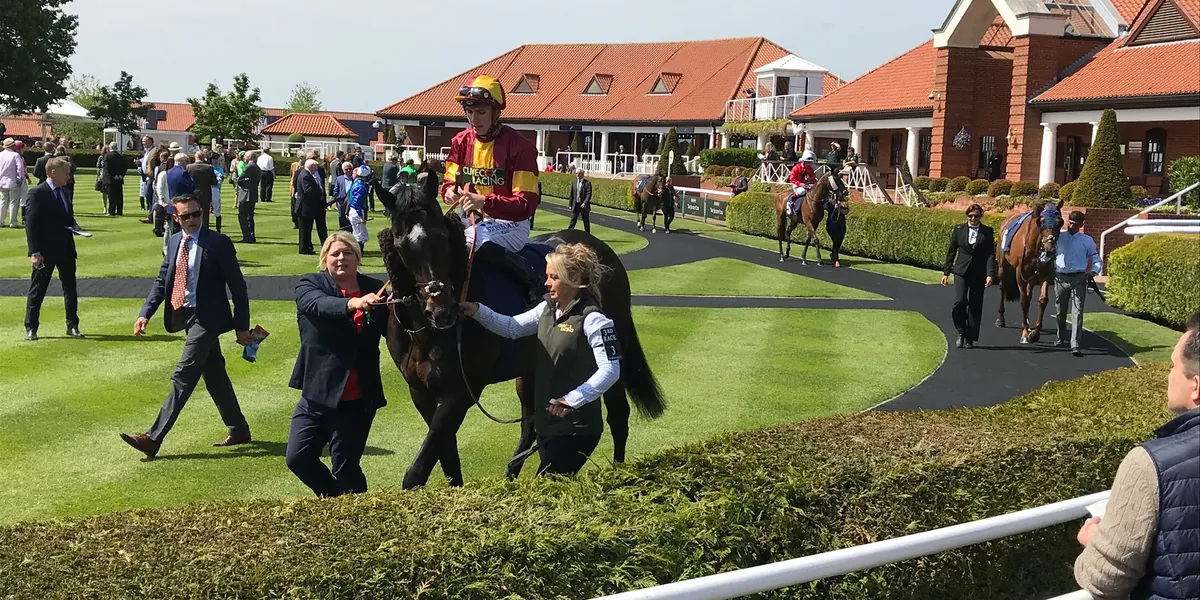 Runners on the course at Newmarket