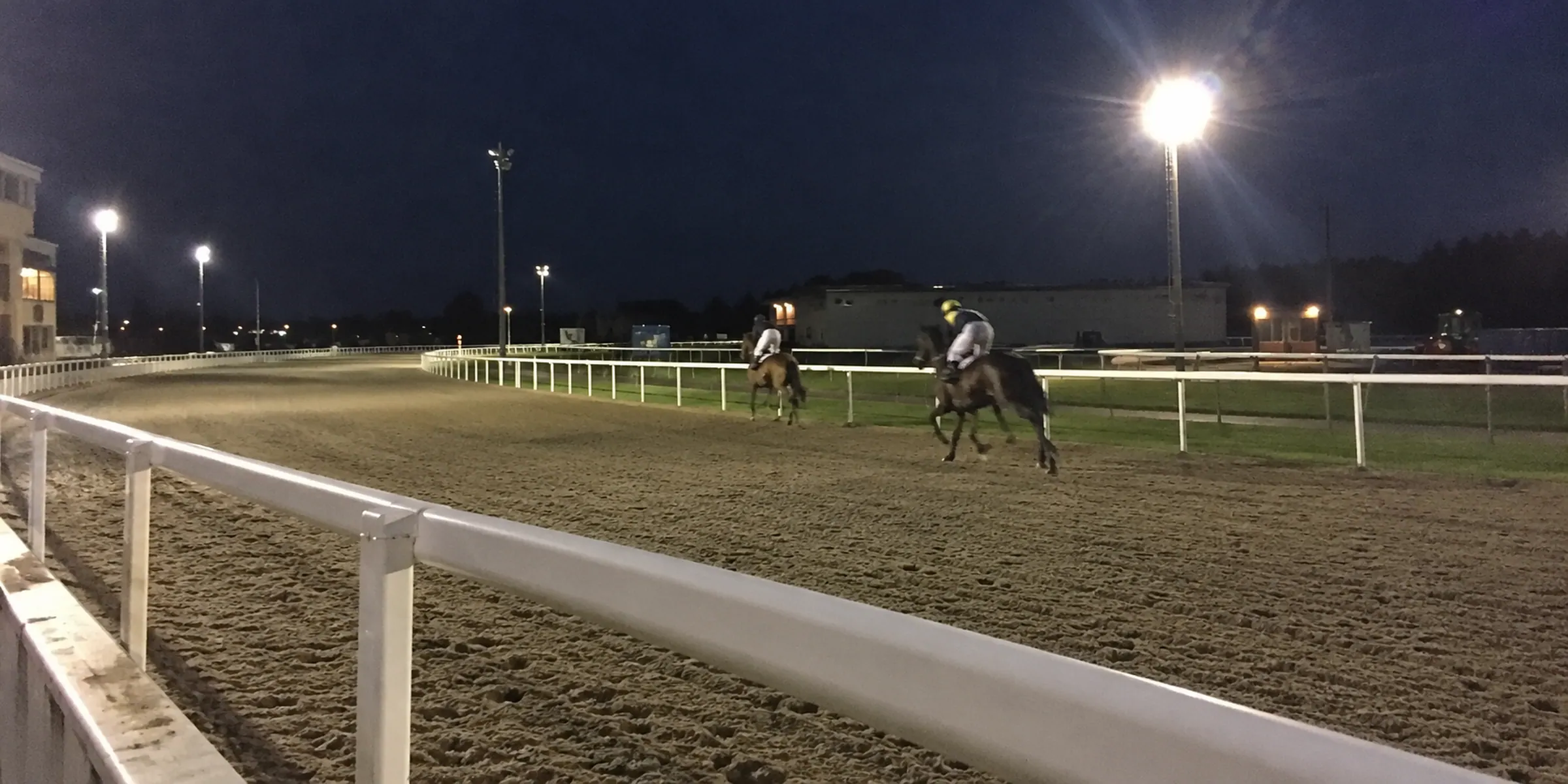 Two horses on an all-weather track under bright evening floodlights